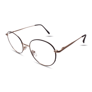 Round Aviator Metal Eyeglasses with Double Bridge | Lightweight Unisex Optical Frame